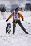 Lenk 2013